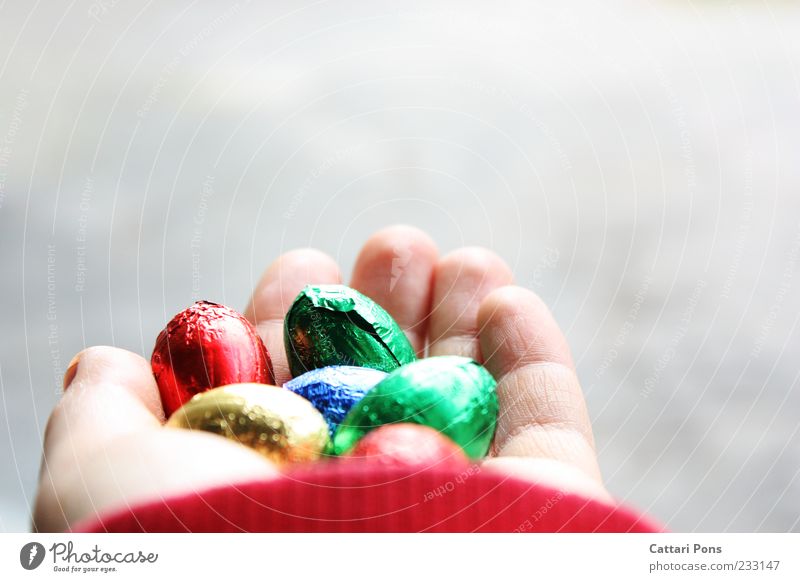 bunte Schokoeier Lebensmittel Süßwaren Schokolade Ei Freude Glück Ostern Hand Finger festhalten süß geben mehrfarbig hell zart Eierlauf Osterei Farbfoto