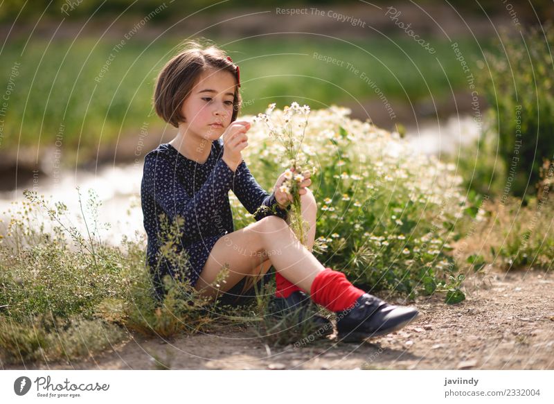 Kleines Mädchen sitzt auf einem Naturfeld mit Blumen in der Hand. Lifestyle Freude Glück schön Spielen Sommer Kind Mensch Baby Frau Erwachsene Kindheit 1