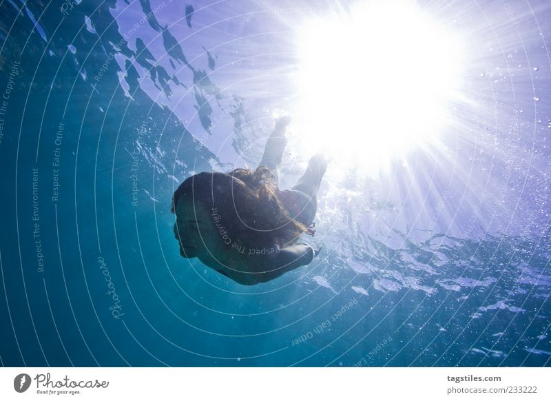 LIQUID Mauritius tauchen Schwimmen & Baden Im Wasser treiben Kühlung Sommer Sonne Lichtstrahl Frau Leben abstrakt Meer Wasseroberfläche Unterwasseraufnahme
