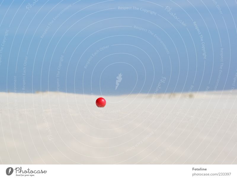 Spiekerook I - Auf der Suche nach dem Wrack! - Umwelt Natur Urelemente Sand Himmel Wolkenloser Himmel Strand hell klein blau rot weiß rund Ball Gummiball