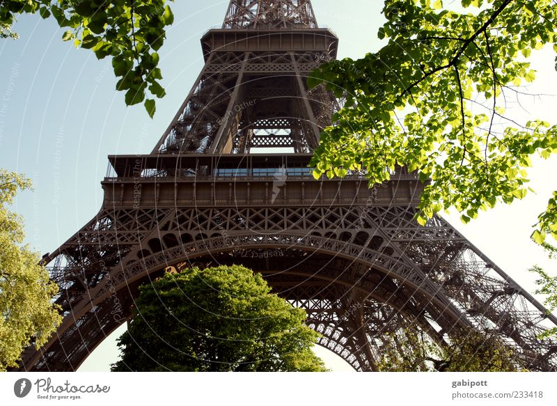 Stahlfachwerkturm Paris Turm Bauwerk Gebäude Architektur Sehenswürdigkeit Wahrzeichen Tour d'Eiffel Bekanntheit fantastisch Stahlträger Blatt Baum Konstruktion