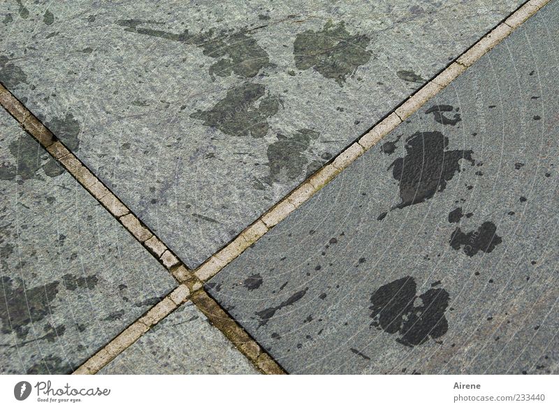 Spurensuche: eindeutig nasser Hund Wasser Wassertropfen Menschenleer Fährte Stein Beton Zeichen Fröhlichkeit lustig positiv grau schwarz silber Freude Kreuz