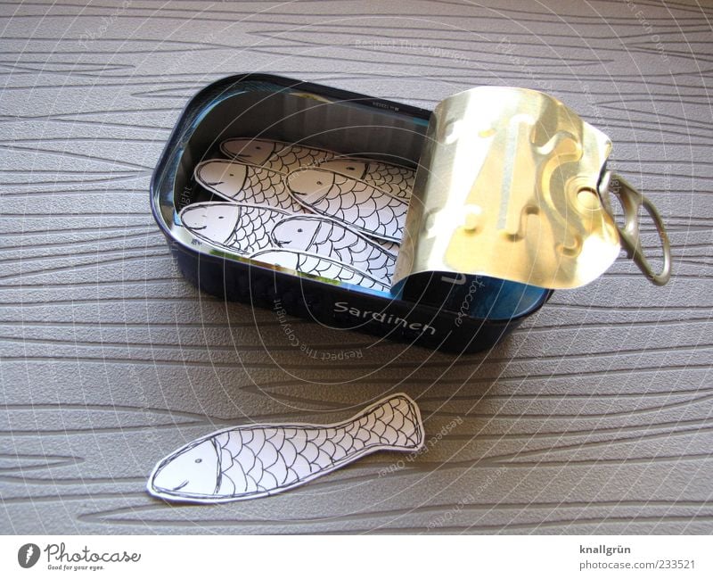 Sardinen Fisch Ernährung Tier Schuppen Tiergruppe Schwarm Dose Konservendose liegen grau silber Pull-off-Verschluss Metall Farbfoto Studioaufnahme Menschenleer