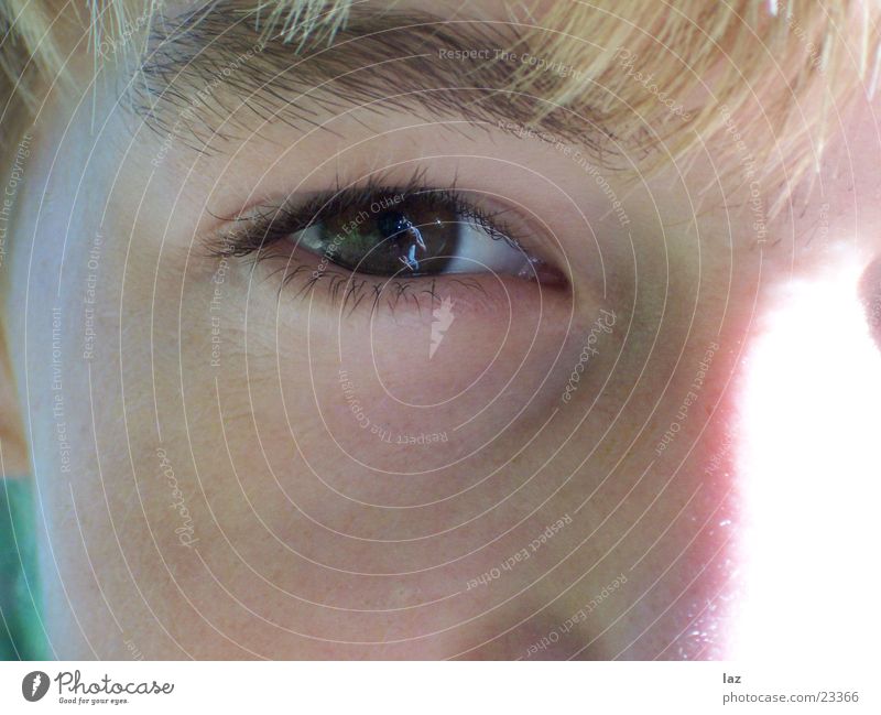 Auge braun Spiegel Reflexion & Spiegelung Augenbraue Wimpern Kind Makroaufnahme