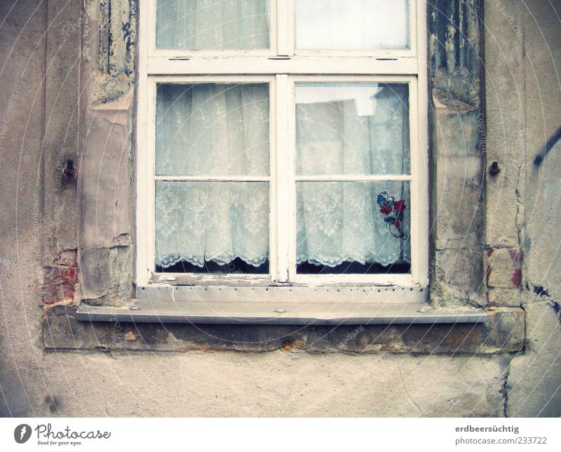 Katzenstammsitz Haus Mauer Wand Fassade Fenster Fensterbrett Fensterscheibe Fensterkreuz Glas alt authentisch grau Gardine verfallen Dekoration & Verzierung