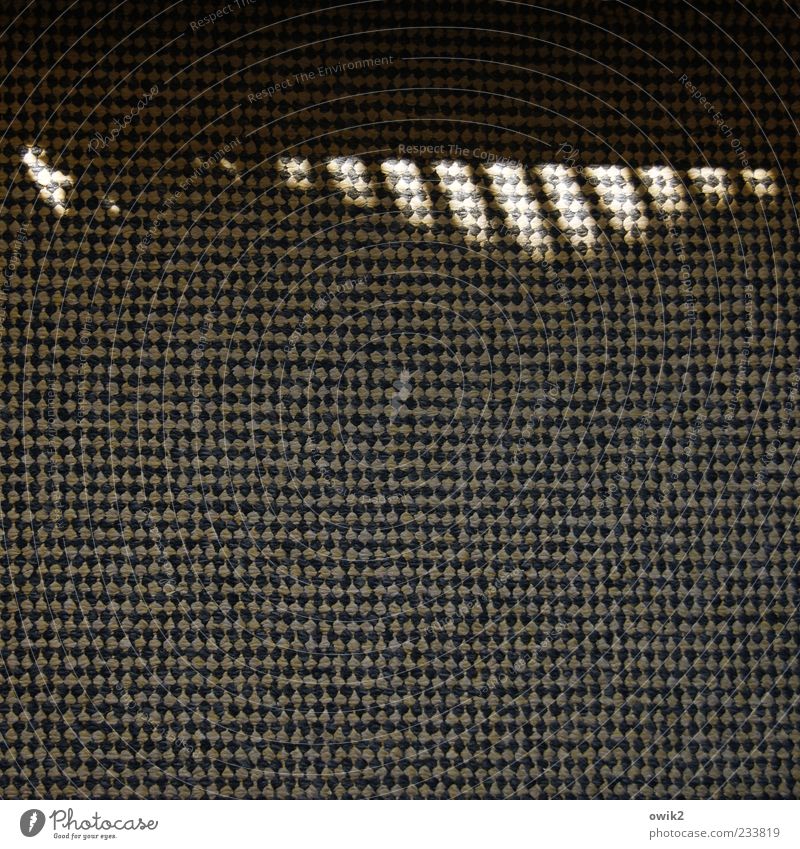 Privater Zebrastreifen Teppich Kunststoff einfach schön einzigartig klein nah zeitlos Textfreiraum gerade simpel Lichteinfall Momentaufnahme Vogelperspektive