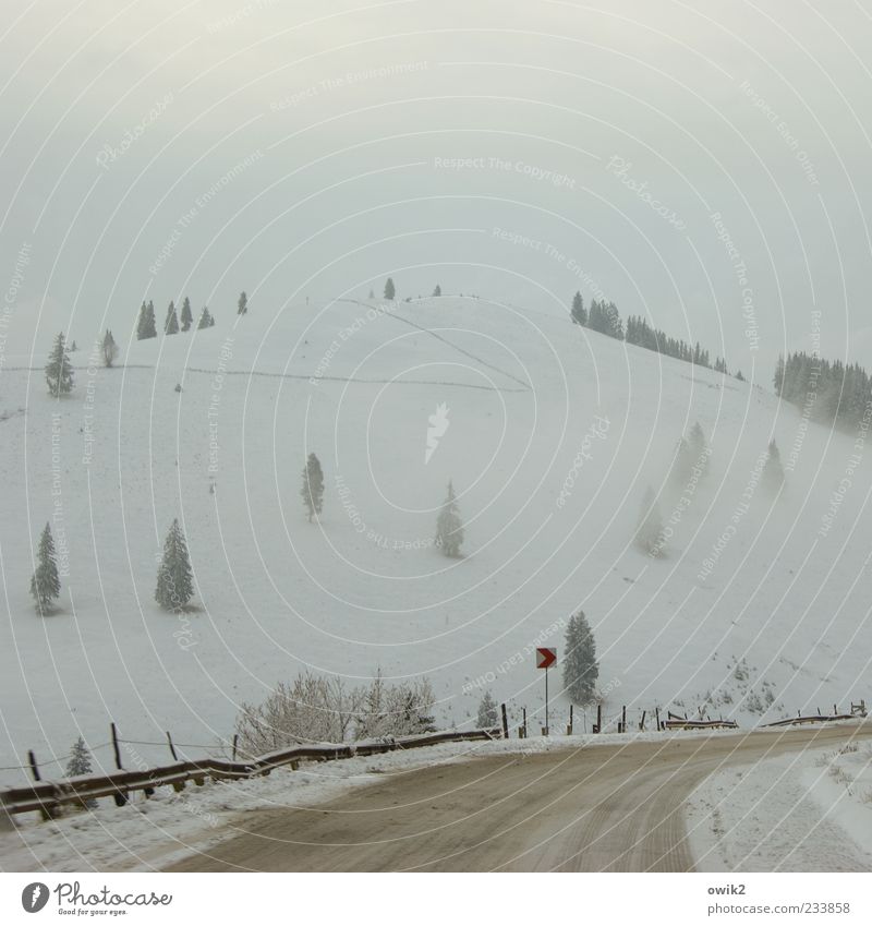 Eisnebel Ferne Umwelt Natur Landschaft Himmel Wolken Winter Klima Wetter schlechtes Wetter Frost Schnee Baum Nadelbaum Berge u. Gebirge Karpaten Rumänien