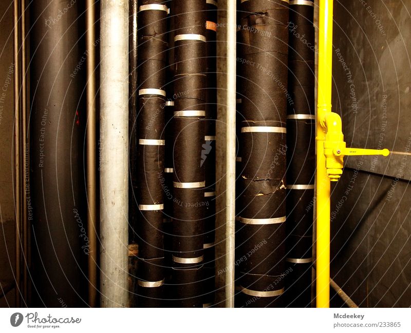 Vertikales Gewerbe Rohrleitung Röhren Technik & Technologie Industrie fest groß braun gelb grau schwarz silber weiß Linie vertikal Hebel Stahl