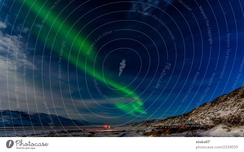 Nordlicht über Kangerlussuaq Grönland kangerlussuaq Flughafen Winter Nacht kalt dunkel Vollmond grün Natur