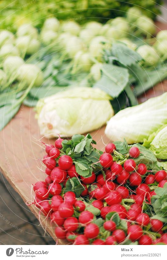 Radieschen Lebensmittel Gemüse Ernährung Bioprodukte Vegetarische Ernährung frisch klein lecker rund rot Wochenmarkt Gemüsemarkt Obst- oder Gemüsestand