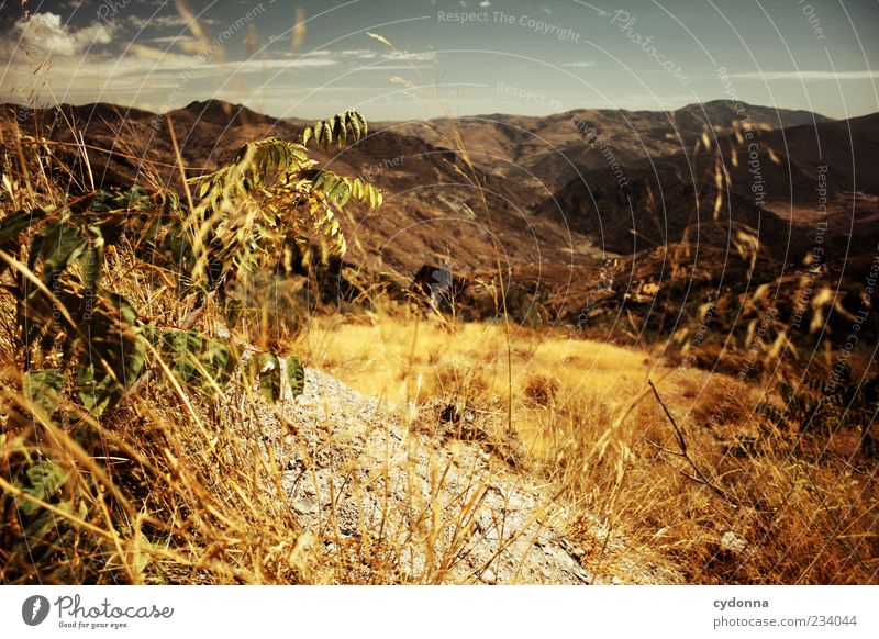Andalusien exotisch Ferne Freiheit Umwelt Natur Landschaft Sommer Klima Gras Berge u. Gebirge Einsamkeit einzigartig entdecken Horizont Idylle Leben ruhig schön