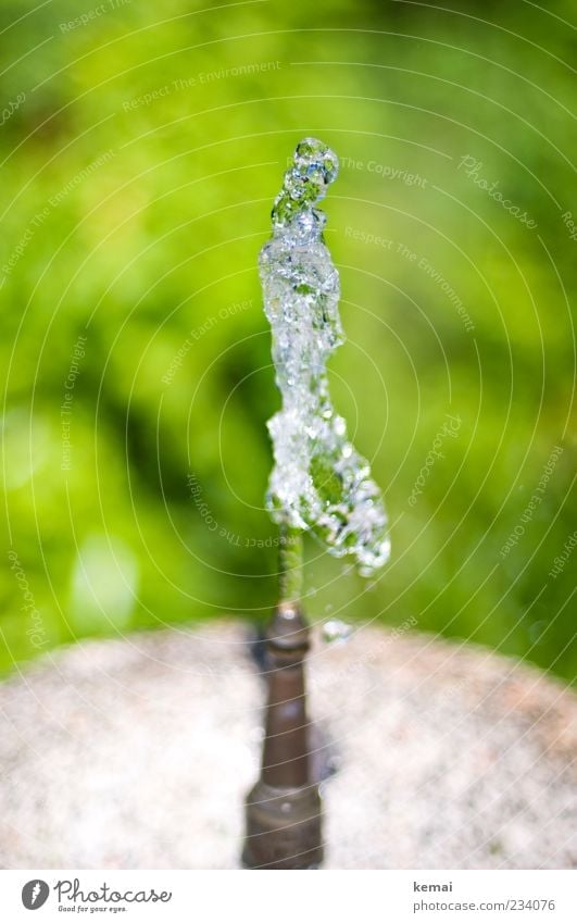 Eine Stange Wasser Umwelt Natur Wassertropfen Sommer Schönes Wetter Garten Park Brunnen Wasserspeier Springbrunnen Stein kalt nass grün Wasserfontäne spritzen