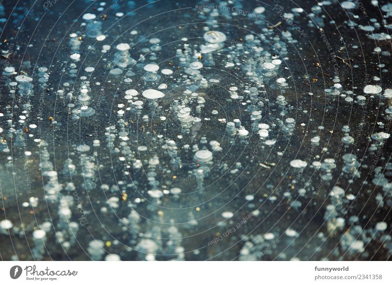 Eisfläche mit vielen eingeschlossenen Luftblasen Umwelt kalt bizarr Blase Blubbern gefroren Winter aufsteigen Oberfläche Farbfoto Außenaufnahme abstrakt Muster