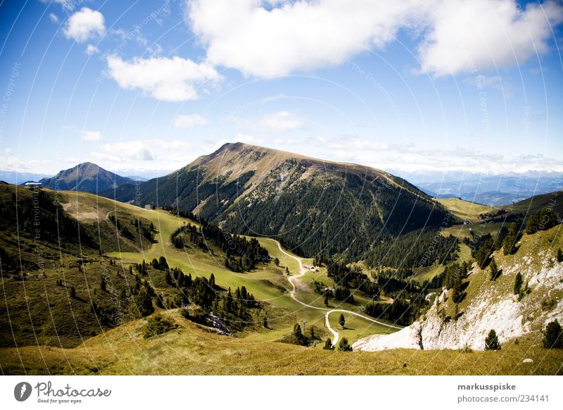 blick vom lattemar, südtirol Ferne Freiheit Sommer Berge u. Gebirge Natur Landschaft Herbst Schönes Wetter Wald Felsen Alpen Gipfel Südtirol Trentino