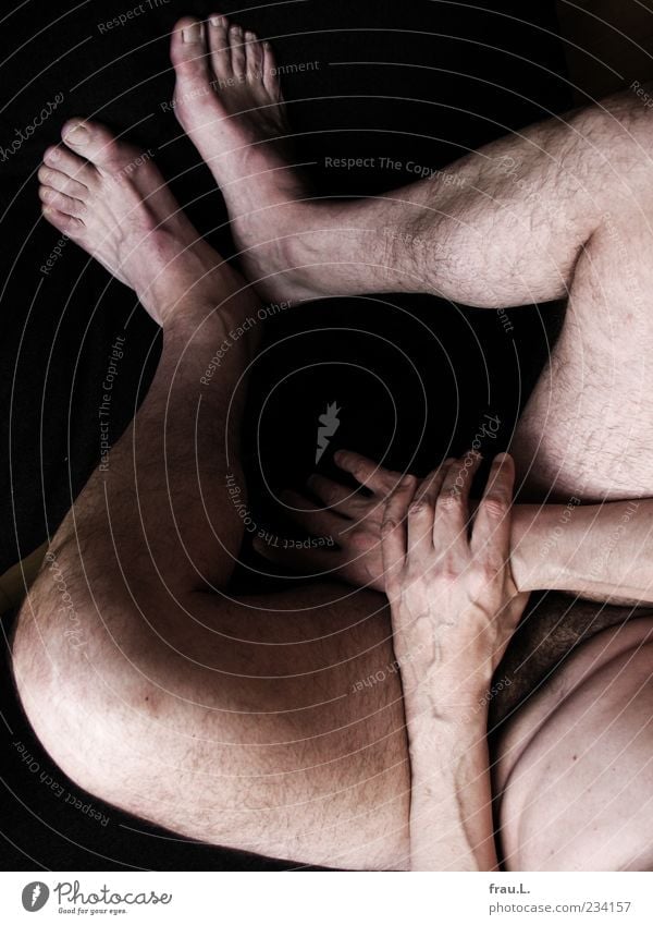 über die Schulter Mensch maskulin Mann Erwachsene Männlicher Senior Körper 1 45-60 Jahre festhalten sitzen nackt Gelassenheit ruhig Schamhaare Akt verwundbar