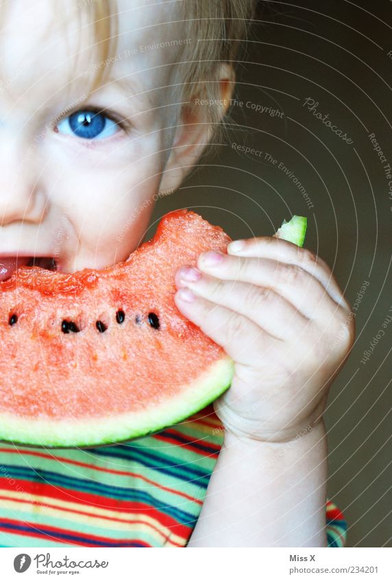 Melone & blaue Augen Lebensmittel Frucht Ernährung Bioprodukte Vegetarische Ernährung Mensch Kind Kleinkind Junge Kindheit 1 1-3 Jahre Essen lecker nass saftig