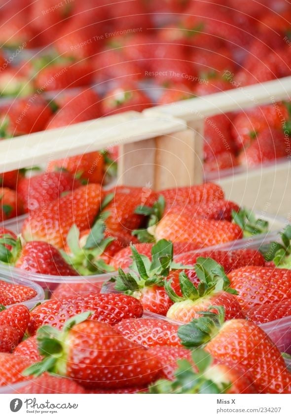 Erdbeeren Lebensmittel Frucht Ernährung Bioprodukte frisch lecker süß rot reif Wochenmarkt Obst- oder Gemüsestand Obstschale Marktstand Farbfoto mehrfarbig