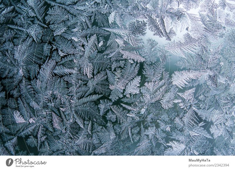 Eismuster im Winter schön Schnee Weihnachten & Advent Natur Klima Wetter frisch hell natürlich neu blau Frost gefroren Fenster Glas Konsistenz Hintergrund eisig