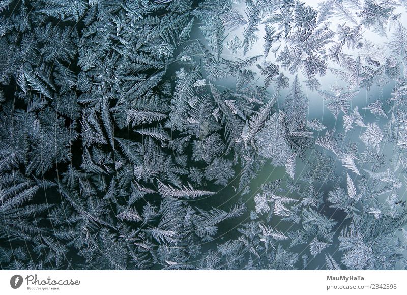Eismuster im Winter schön Schnee Weihnachten & Advent Natur Klima Wetter frisch hell natürlich neu blau Frost gefroren Fenster Glas Konsistenz Hintergrund eisig