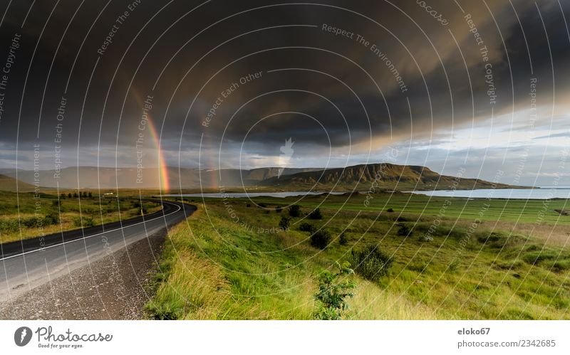 Regenbogen in Island Umwelt Natur Landschaft Klima Wetter Schönes Wetter schlechtes Wetter Unwetter Stimmung Freude Glück Fröhlichkeit Lebensfreude Angst