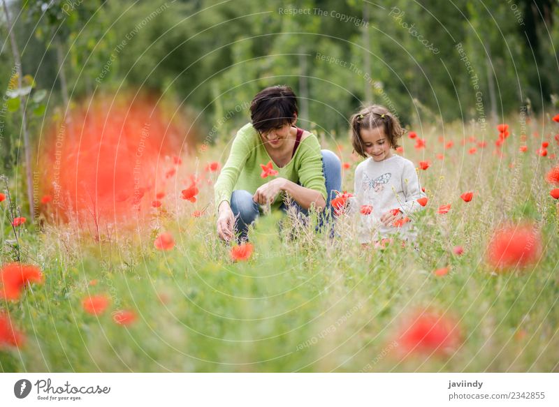 Glückliche Mutter mit ihrer kleinen Tochter im Mohnfeld. Lifestyle Kind Mensch Mädchen Frau Erwachsene Eltern Familie & Verwandtschaft Kindheit Jugendliche 2