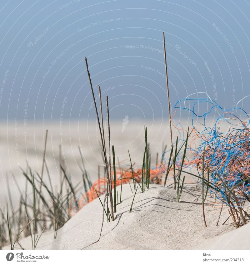 Spiekeroog | Strandgut Umwelt Natur Landschaft Pflanze Küste Sand Umweltverschmutzung Stranddüne Dünengras Horizont Himmel Blauer Himmel Wolkenloser Himmel Müll