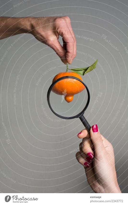 Mandarine mit Lupe beobachtet Lebensmittel Frucht Orange Ernährung Essen Bioprodukte Vegetarische Ernährung Diät Lupeneffekt beobachten außergewöhnlich Duft