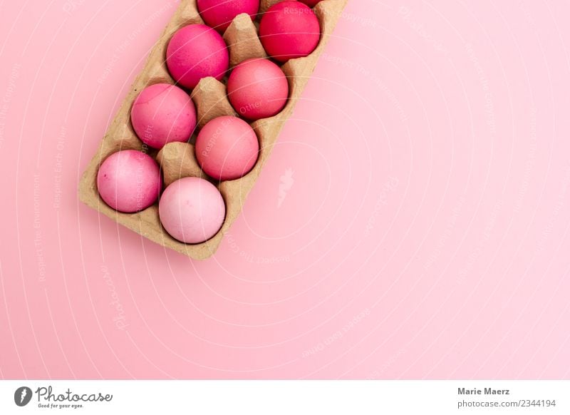 Eierschachlte mit rosa Ostereiern nach Farbe sortiert Design Ostern Essen machen Blick springen ästhetisch einfach trendy schön Freude April färben verschönern