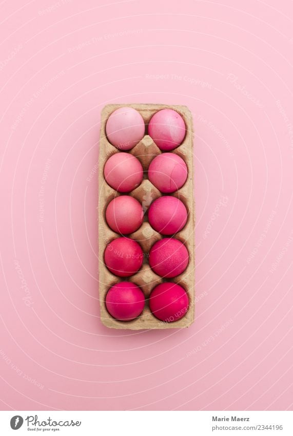 Rosa Eier in Eierschachtel Design Ostern Essen ästhetisch schön rosa Ordnungsliebe Farbe Inspiration Kreativität Kunst Farbverlauf Osterei färben sortieren