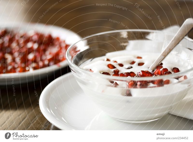 fruchtig Joghurt Milcherzeugnisse Frucht Teller Schalen & Schüsseln Löffel frisch Gesundheit lecker rot weiß Granatapfel Dessert Snack Ernährung Speise