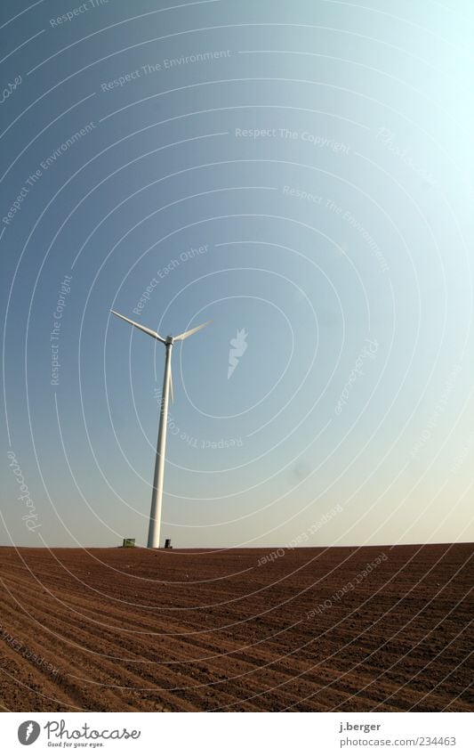 Windfänger Energiewirtschaft Technik & Technologie Fortschritt Zukunft Erneuerbare Energie Windkraftanlage Landschaft Erde Himmel Wolkenloser Himmel
