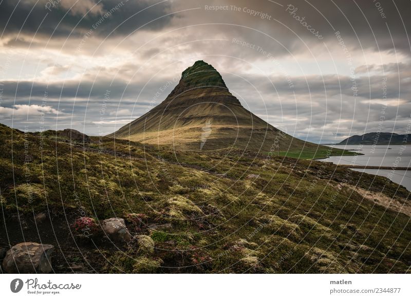 Islaendischer Fruehling Landschaft Pflanze Himmel Wolken Horizont Sonnenaufgang Sonnenuntergang Frühling Schönes Wetter Gras Moos Wiese Felsen Gipfel Küste