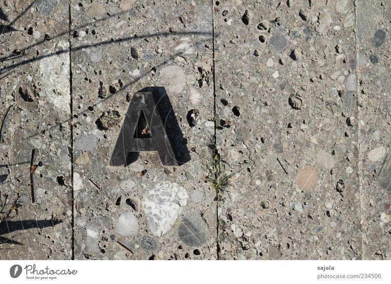 von a ... Gras Stein Beton Metall Schriftzeichen A ästhetisch grau Linie Boden Bodenplatten Beginn Anfangsbuchstabe Farbfoto Außenaufnahme Muster