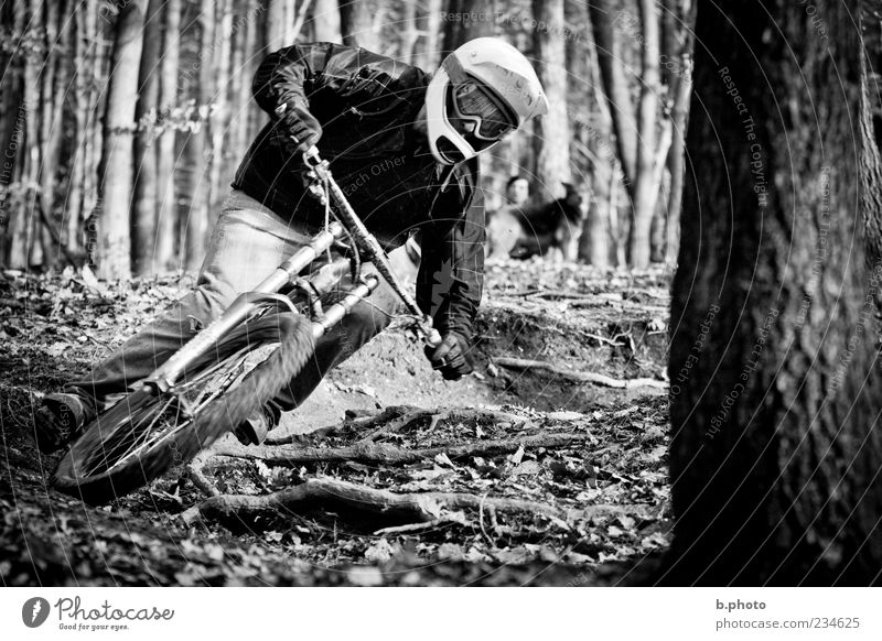 take the turn Sport Sportler Fahrradfahren Publikum Mensch maskulin 1 Natur Tier Baum Blatt Wald Hügel Geschwindigkeit sportlich schwarz Abenteuer Kurve Wurzel