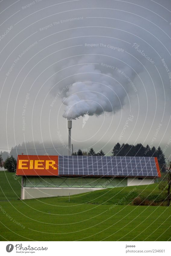 Rauchende Eier Nebel Farbfoto Außenaufnahme Textfreiraum oben Schornstein Wort Dach außergewöhnlich Eierproduktion Rauchwolke Menschenleer Umweltverschmutzung