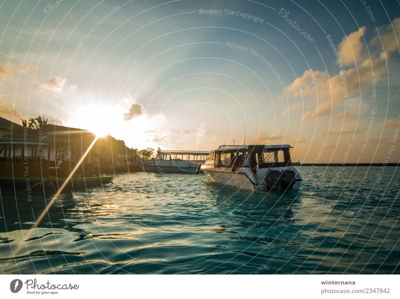 Yachthafen Jachthafen Boote Sonnenuntergang Sonnenschein Sonnenlicht Meer Malediven Freude Abenteuer Fischen Schwimmsport Delphine Himmel blau Wolken