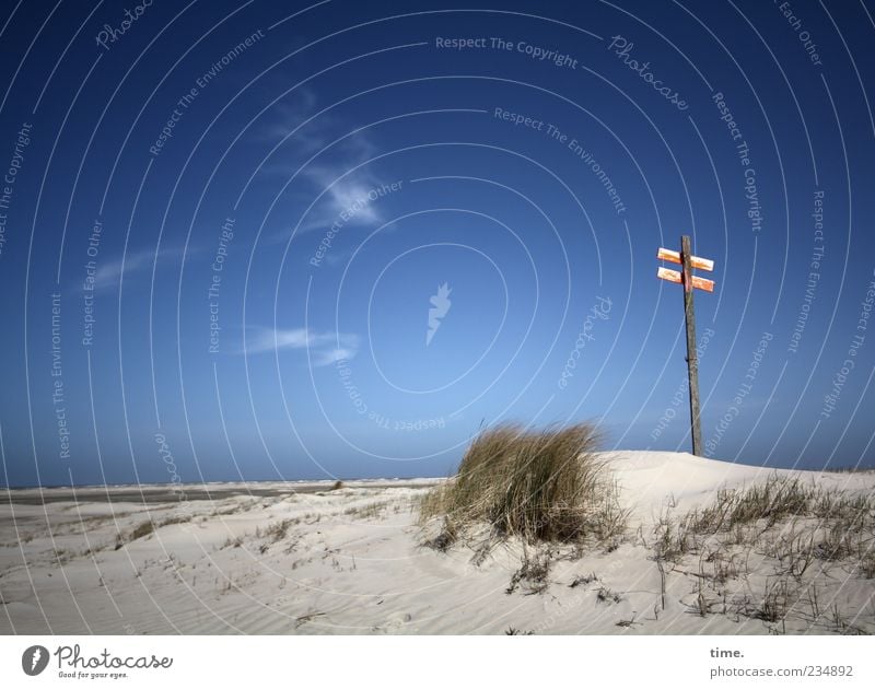 Spiekeroog | Himmel fühlen Ferne Strand Meer Wellen Sand Wolken Horizont Wind Gras Hügel Schilder & Markierungen Hinweisschild Warnschild blau Düne Stranddüne
