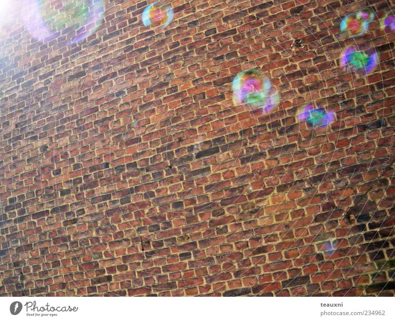 bubbly Mauer Wand Seifenblase fliegen ruhig Vergänglichkeit Farbfoto Backsteinwand schimmern Schweben Reflexion & Spiegelung Textfreiraum unten Sonnenstrahlen