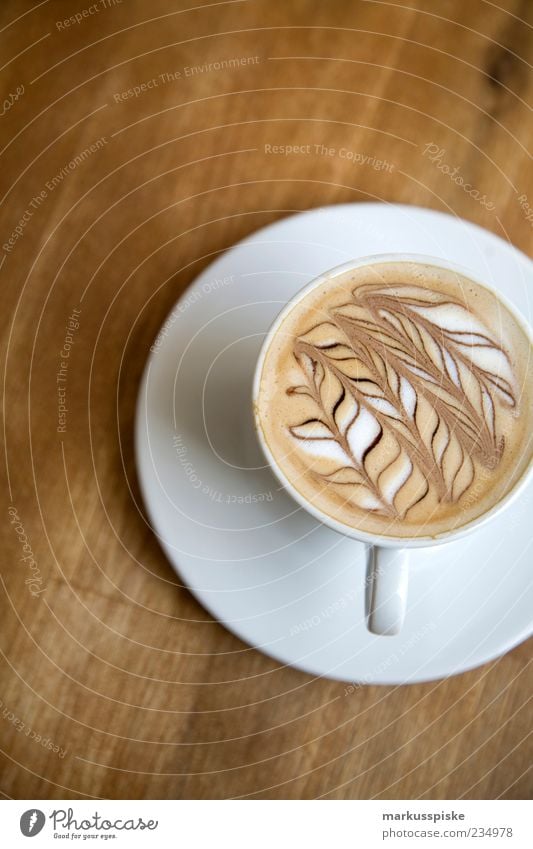 latte art - barista Lebensmittel Milchkaffee Kaffee Kaffeetasse Kaffeebecher Latte Macchiato verziert Dekoration & Verzierung Muster schäumen Cappuccino Getränk