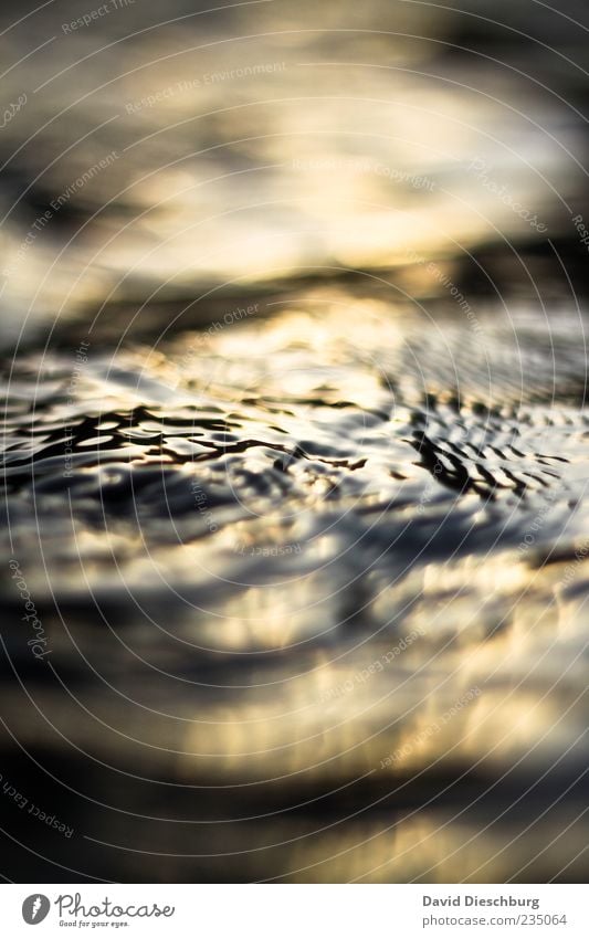 Flüssiges Gold Natur Wasser Wellen gold grau schwarz Gewässer glänzend fließen Farbfoto Außenaufnahme Nahaufnahme Detailaufnahme Tag Licht Schatten Kontrast