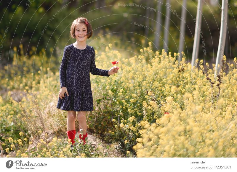 Kleines Mädchen im Naturfeld mit Blumen in der Hand. Lifestyle Freude Glück schön Spielen Sommer Kind Mensch Baby Frau Erwachsene Kindheit 1 3-8 Jahre Gras
