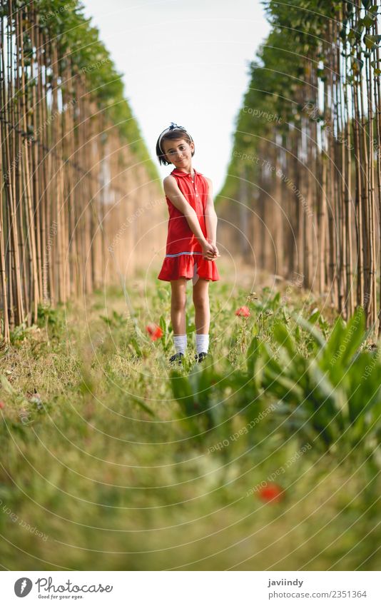 Kleines Mädchen, das im Naturfeld spazieren geht und ein schönes rotes Kleid trägt. Lifestyle Freude Glück Spielen Sommer Kind Mensch feminin Baby Frau