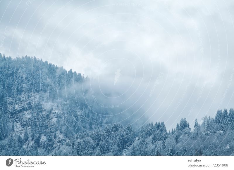 Winternebel über Bergen, Bad Hindelang, Deutschland Ferien & Urlaub & Reisen Schnee Berge u. Gebirge wandern Natur Landschaft Wetter Nebel Schneefall Wald Hügel