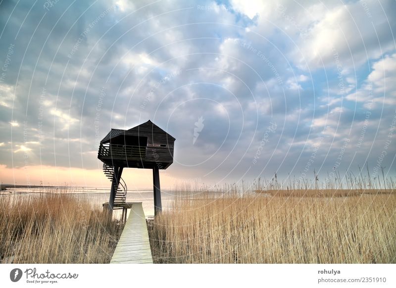 Holzaussichtsturm über dem Himmel, Niederlande Ferien & Urlaub & Reisen Natur Landschaft Wolken Horizont Frühling Wetter Schönes Wetter Küste Gebäude