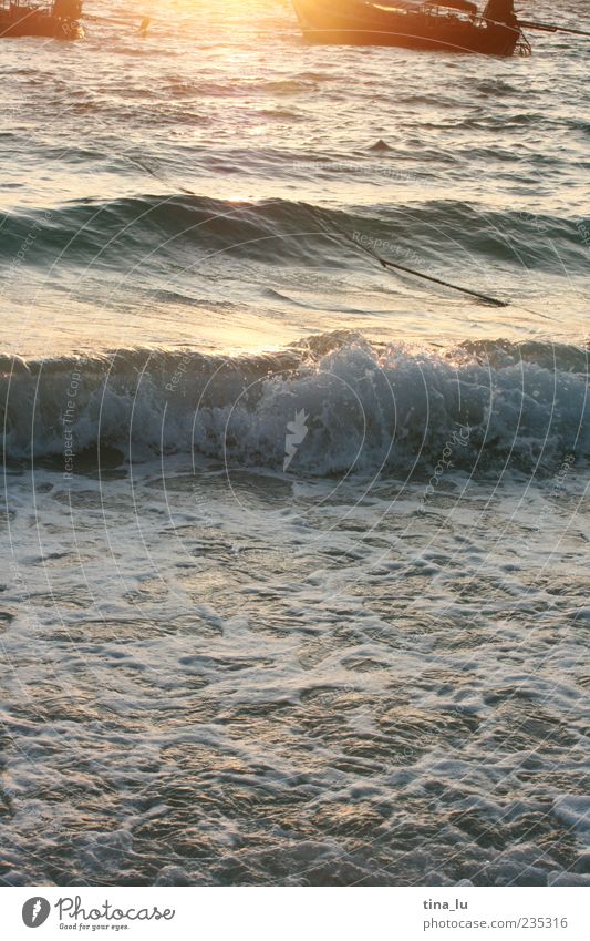 sunrise in koh phi phi III Natur Urelemente Wasser Sommer Wellen Strand Meer Andamanensee fantastisch nass blau gold Farbfoto Außenaufnahme Menschenleer