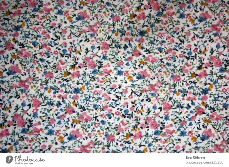Blumen Muster Dekoration & Verzierung Freundlichkeit Fröhlichkeit frisch schön niedlich viele weich blau mehrfarbig rosa weiß Frühlingsgefühle ästhetisch Farbe