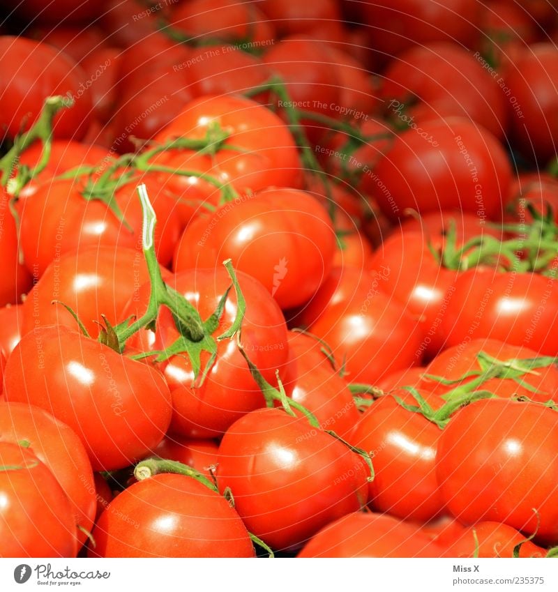 Tomatäh Lebensmittel Gemüse Ernährung Bioprodukte Vegetarische Ernährung Duft frisch lecker rund saftig rot Tomate Strauchtomate viele Farbfoto mehrfarbig