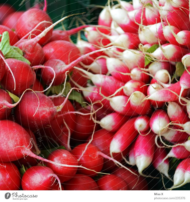 Radieschen Lebensmittel Gemüse Ernährung Bioprodukte Vegetarische Ernährung frisch klein lecker rot Rettich Farbfoto mehrfarbig Nahaufnahme Muster