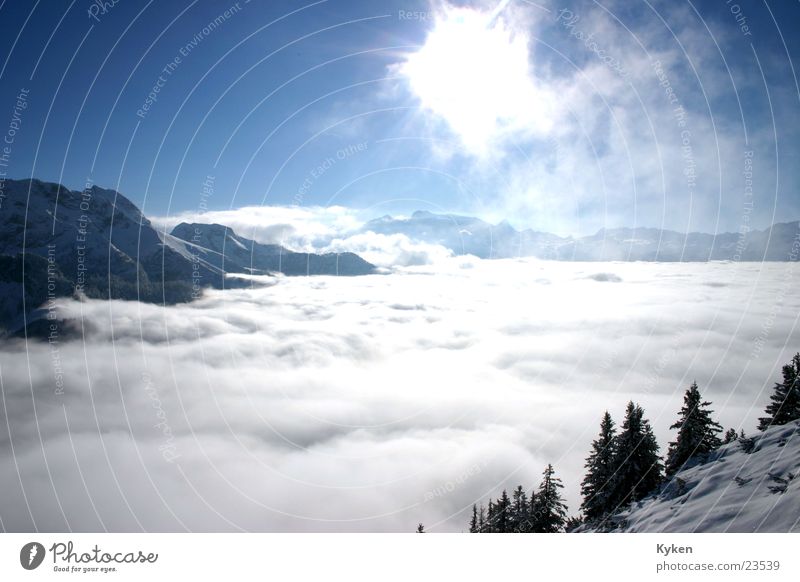ganz oben Winter weiß Baum kalt Tanne Berghang Nebel Wolken Gipfel Berge u. Gebirge blau Schnee Sonne Berdesgarten Klettern