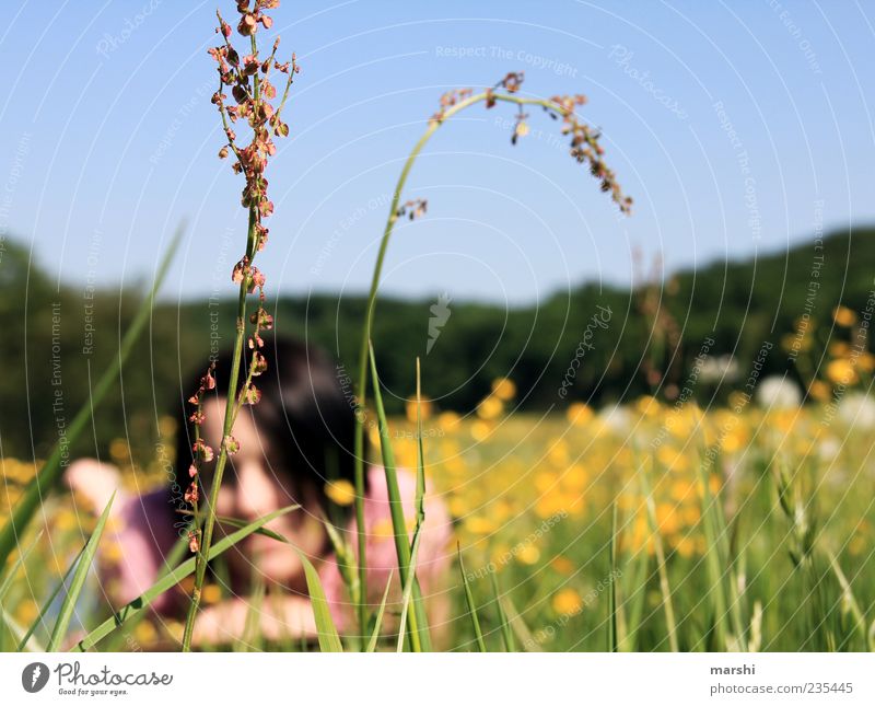 Chillen in der Wiese Mensch Junge Frau Jugendliche Erwachsene 1 Natur Landschaft Pflanze Frühling Sommer Schönes Wetter Gras Blüte Wildpflanze gelb Erholung